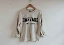 Load image into Gallery viewer, Harvard University